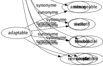Synonyme de Immutabilité : Constance Durabilité Fidélité Fixité Immuabilité Inaltérabilité Invariabilité Pérennité Permanence Solidité Stabilité 