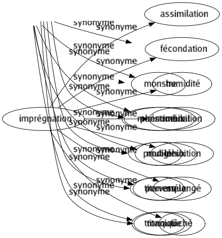 Synonyme de Imprégnation : Assimilation Fécondation Humidité Imbibition Inhibition Mélangé Tâché 