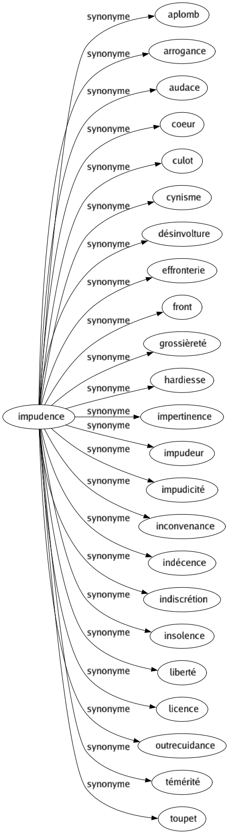 Synonyme de Impudence : Aplomb Arrogance Audace Coeur Culot Cynisme Désinvolture Effronterie Front Grossièreté Hardiesse Impertinence Impudeur Impudicité Inconvenance Indécence Indiscrétion Insolence Liberté Licence Outrecuidance Témérité Toupet 