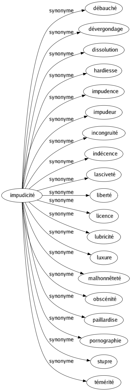 Synonyme de Impudicité : Débauché Dévergondage Dissolution Hardiesse Impudence Impudeur Incongruité Indécence Lasciveté Liberté Licence Lubricité Luxure Malhonnêteté Obscénité Paillardise Pornographie Stupre Témérité 