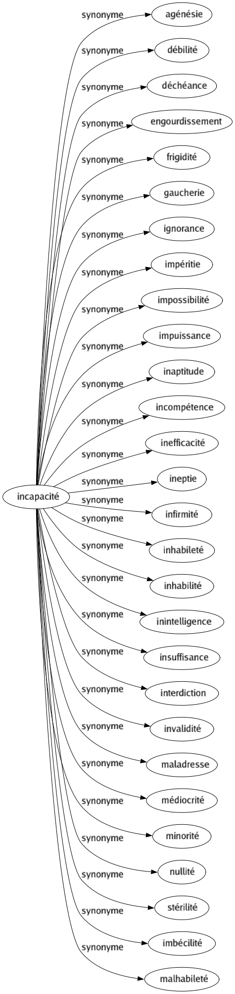 Synonyme de Incapacité : Agénésie Débilité Déchéance Engourdissement Frigidité Gaucherie Ignorance Impéritie Impossibilité Impuissance Inaptitude Incompétence Inefficacité Ineptie Infirmité Inhabileté Inhabilité Inintelligence Insuffisance Interdiction Invalidité Maladresse Médiocrité Minorité Nullité Stérilité Imbécilité Malhabileté 