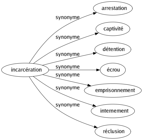 Synonyme de Incarcération : Arrestation Captivité Détention Écrou Emprisonnement Internement Réclusion 