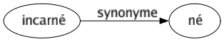 Synonyme de Incarné : Né 