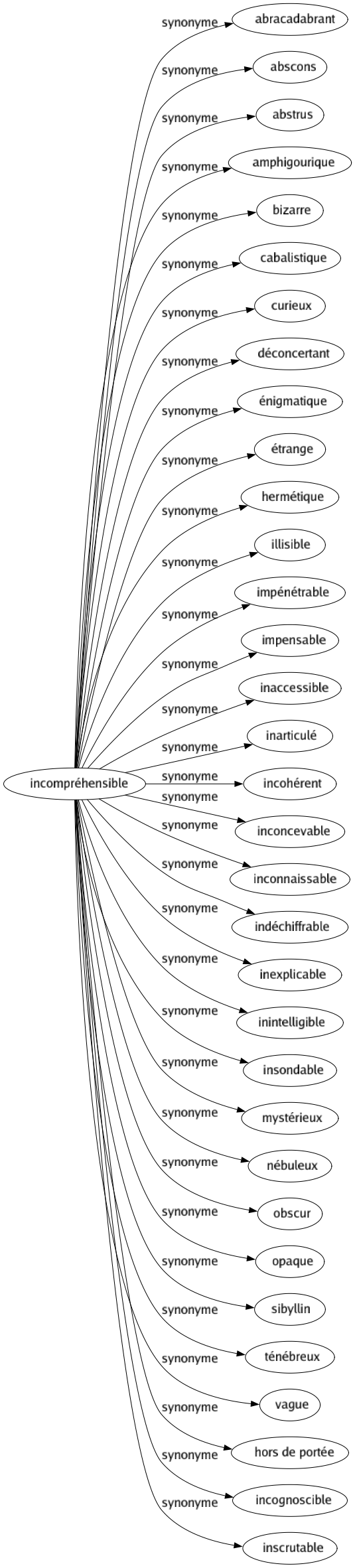 Synonyme de Incompréhensible : Abracadabrant Abscons Abstrus Amphigourique Bizarre Cabalistique Curieux Déconcertant Énigmatique Étrange Hermétique Illisible Impénétrable Impensable Inaccessible Inarticulé Incohérent Inconcevable Inconnaissable Indéchiffrable Inexplicable Inintelligible Insondable Mystérieux Nébuleux Obscur Opaque Sibyllin Ténébreux Vague Hors de portée Incognoscible Inscrutable 