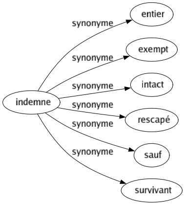 Synonyme de Indemne : Entier Exempt Intact Rescapé Sauf Survivant 