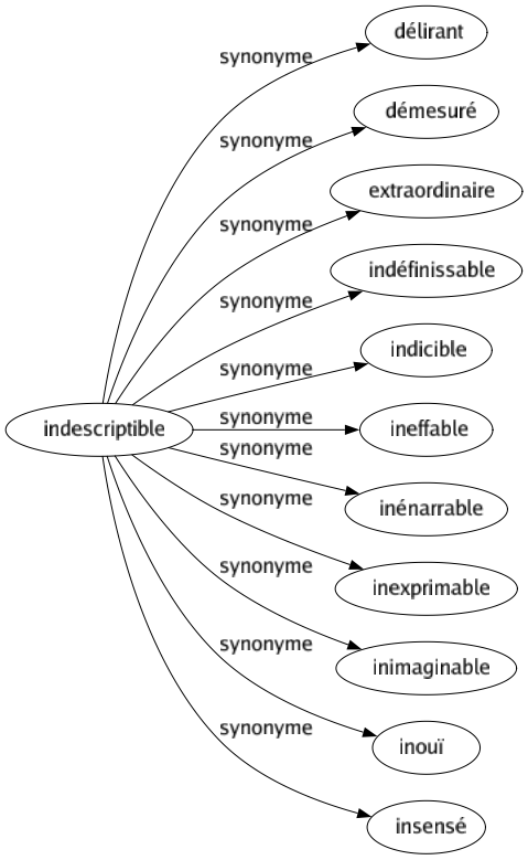 Synonyme de Indescriptible : Délirant Démesuré Extraordinaire Indéfinissable Indicible Ineffable Inénarrable Inexprimable Inimaginable Inouï Insensé 