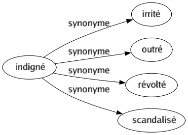 Synonyme de Indigné : Irrité Outré Révolté Scandalisé 