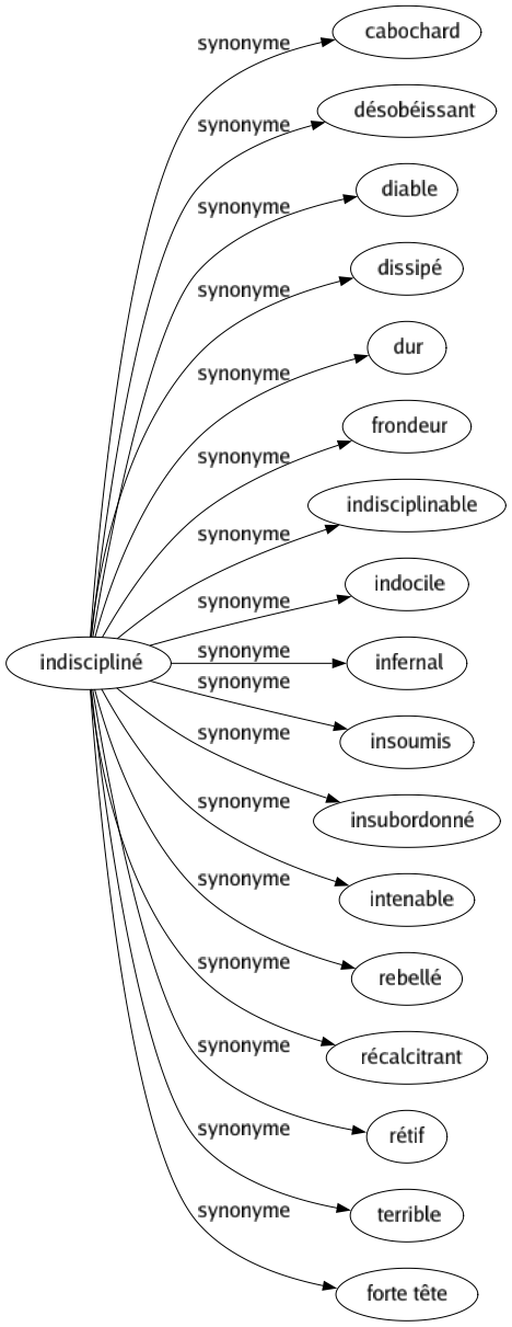 Synonyme de Indiscipliné : Cabochard Désobéissant Diable Dissipé Dur Frondeur Indisciplinable Indocile Infernal Insoumis Insubordonné Intenable Rebellé Récalcitrant Rétif Terrible Forte tête 