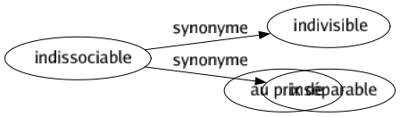Synonyme de Indissociable : Indivisible Inséparable 