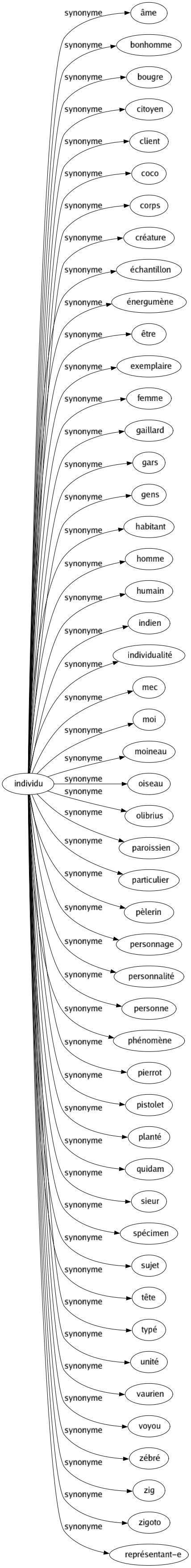Synonyme de Individu : Âme Bonhomme Bougre Citoyen Client Coco Corps Créature Échantillon Énergumène Être Exemplaire Femme Gaillard Gars Gens Habitant Homme Humain Indien Individualité Mec Moi Moineau Oiseau Olibrius Paroissien Particulier Pèlerin Personnage Personnalité Personne Phénomène Pierrot Pistolet Planté Quidam Sieur Spécimen Sujet Tête Typé Unité Vaurien Voyou Zébré Zig Zigoto Représentant-e 