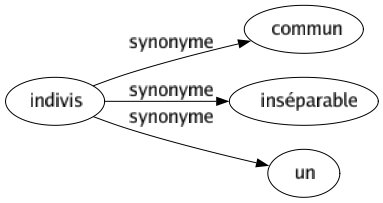 Synonyme de Indivis : Commun Inséparable Un 