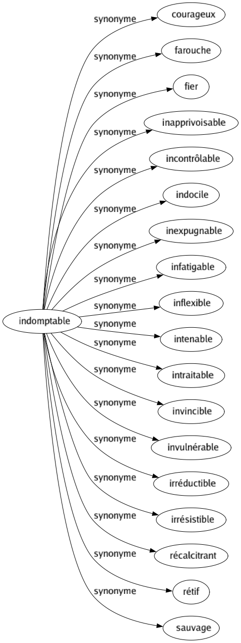 Synonyme de Indomptable : Courageux Farouche Fier Inapprivoisable Incontrôlable Indocile Inexpugnable Infatigable Inflexible Intenable Intraitable Invincible Invulnérable Irréductible Irrésistible Récalcitrant Rétif Sauvage 
