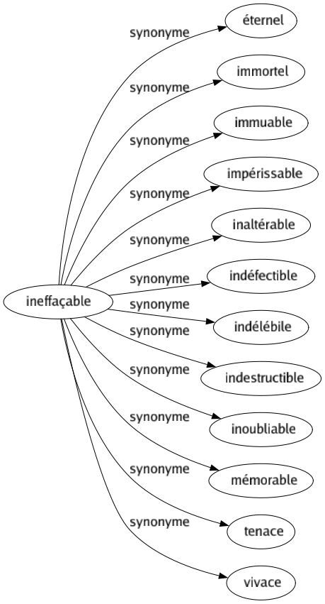 Synonyme de Ineffaçable : Éternel Immortel Immuable Impérissable Inaltérable Indéfectible Indélébile Indestructible Inoubliable Mémorable Tenace Vivace 