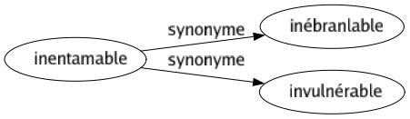 Synonyme de Inentamable : Inébranlable Invulnérable 