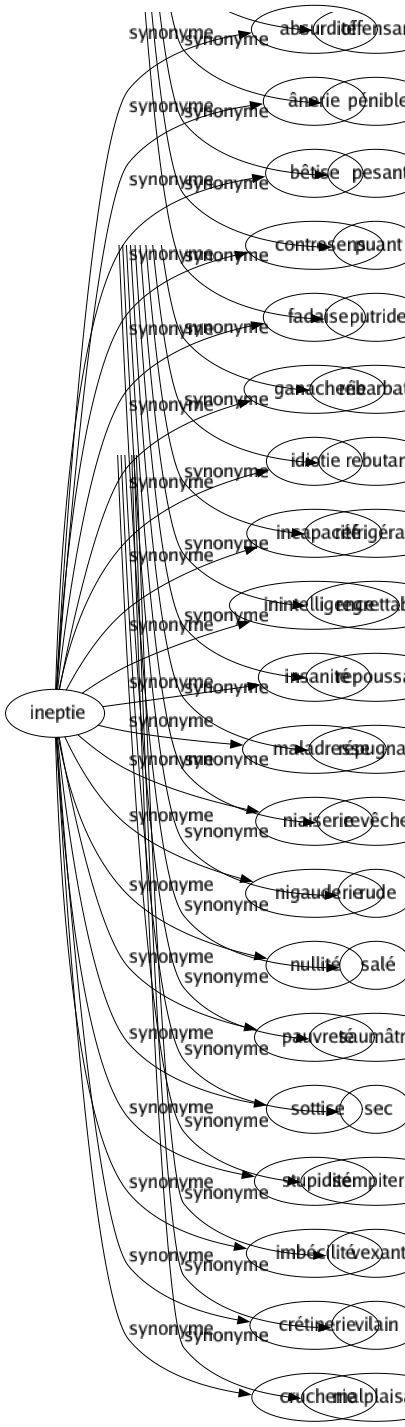 Synonyme de Ineptie : Absurdité Ânerie Bêtise Contresens Fadaise Ganacherie Idiotie Incapacité Inintelligence Insanité Maladresse Niaiserie Nigauderie Nullité Pauvreté Sottise Stupidité Imbécilité Crétinerie Crucherie 