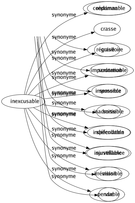Synonyme de Inexcusable : Condamnable Crasse Gravé Impardonnable Impossible Inadmissible Indéfendable Injustifiable Irrémissible Pendable 