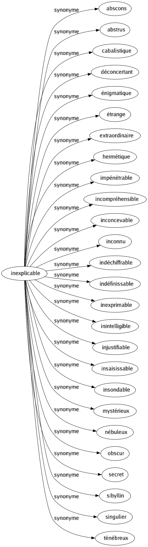 Synonyme de Inexplicable : Abscons Abstrus Cabalistique Déconcertant Énigmatique Étrange Extraordinaire Hermétique Impénétrable Incompréhensible Inconcevable Inconnu Indéchiffrable Indéfinissable Inexprimable Inintelligible Injustifiable Insaisissable Insondable Mystérieux Nébuleux Obscur Secret Sibyllin Singulier Ténébreux 