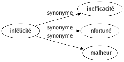 Synonyme de Infélicité : Inefficacité Infortuné Malheur 