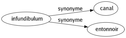 Synonyme de Infundibulum : Canal Entonnoir 