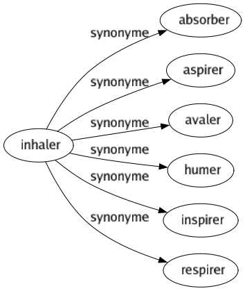 Synonyme de Inhaler : Absorber Aspirer Avaler Humer Inspirer Respirer 