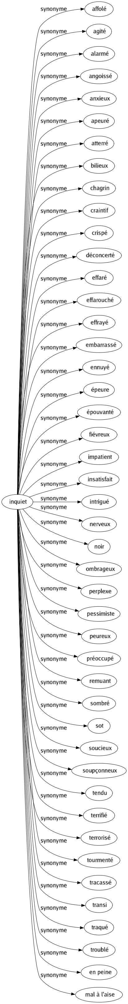 Synonyme de Inquiet : Affolé Agité Alarmé Angoissé Anxieux Apeuré Atterré Bilieux Chagrin Craintif Crispé Déconcerté Effaré Effarouché Effrayé Embarrassé Ennuyé Épeure Épouvanté Fiévreux Impatient Insatisfait Intrigué Nerveux Noir Ombrageux Perplexe Pessimiste Peureux Préoccupé Remuant Sombré Sot Soucieux Soupçonneux Tendu Terrifié Terrorisé Tourmenté Tracassé Transi Traqué Troublé En peine Mal à l'aise 