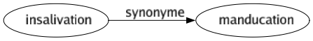Synonyme de Insalivation : Manducation 