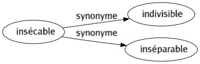 Synonyme de Insécable : Indivisible Inséparable 
