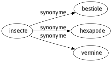 Synonyme de Insecte : Bestiole Hexapode Vermine 