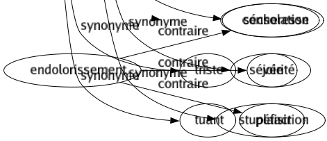 Synonyme de Insensibilité : Accoutumance Anesthésié Apathie Aridité Calmé Catalepsie Coma Cruauté Désaffection Désintérêt Détachement Dureté Égoïsme Endurcissement Férocité Flegme Frigidité Froideur Impassibilité Imperméabilité Incompréhension Indifférence Indolence Inhumanité Paralysie Rigidité Sécheresse Sévérité Stupéfaction 