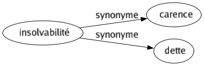 Synonyme de Insolvabilité : Carence Dette 