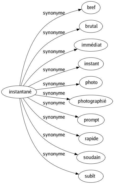 Synonyme de Instantané : Bref Brutal Immédiat Instant Photo Photographié Prompt Rapide Soudain Subît 