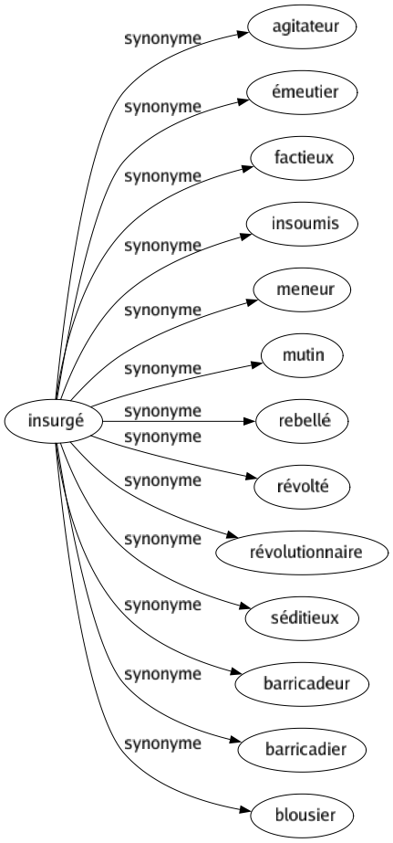 Synonyme de Insurgé : Agitateur Émeutier Factieux Insoumis Meneur Mutin Rebellé Révolté Révolutionnaire Séditieux Barricadeur Barricadier Blousier 