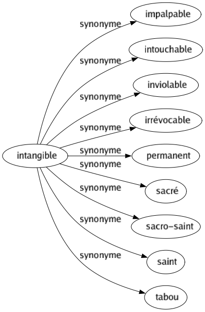 Synonyme de Intangible : Impalpable Intouchable Inviolable Irrévocable Permanent Sacré Sacro-saint Saint Tabou 