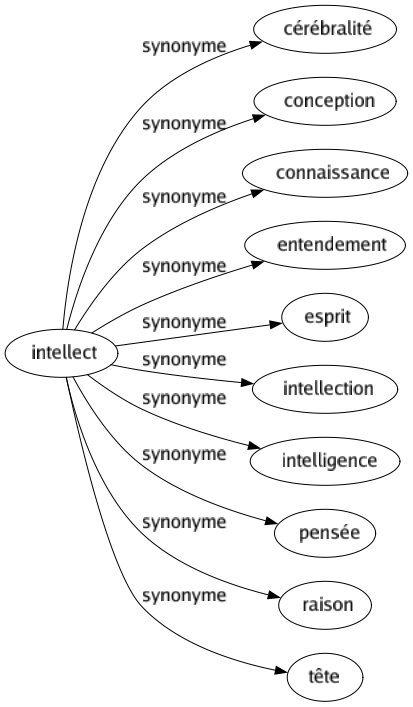 Synonyme de Intellect : Cérébralité Conception Connaissance Entendement Esprit Intellection Intelligence Pensée Raison Tête 