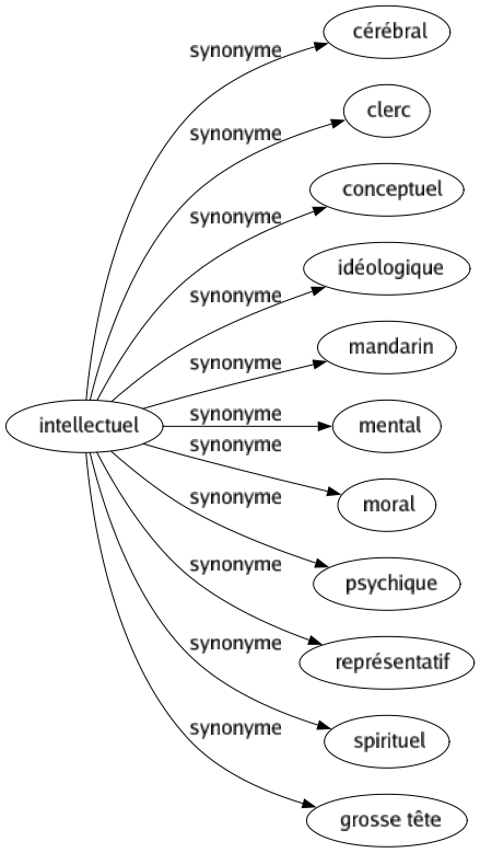Synonyme de Intellectuel : Cérébral Clerc Conceptuel Idéologique Mandarin Mental Moral Psychique Représentatif Spirituel Grosse tête 