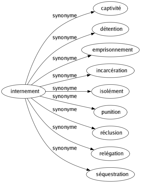 Synonyme de Internement : Captivité Détention Emprisonnement Incarcération Isolément Punition Réclusion Relégation Séquestration 