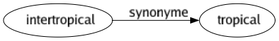 Synonyme de Intertropical : Tropical 