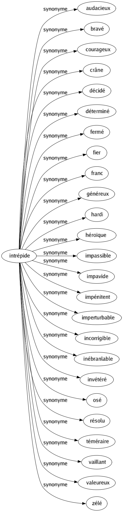Synonyme de Intrépide : Audacieux Bravé Courageux Crâne Décidé Déterminé Fermé Fier Franc Généreux Hardi Héroïque Impassible Impavide Impénitent Imperturbable Incorrigible Inébranlable Invétéré Osé Résolu Téméraire Vaillant Valeureux Zélé 