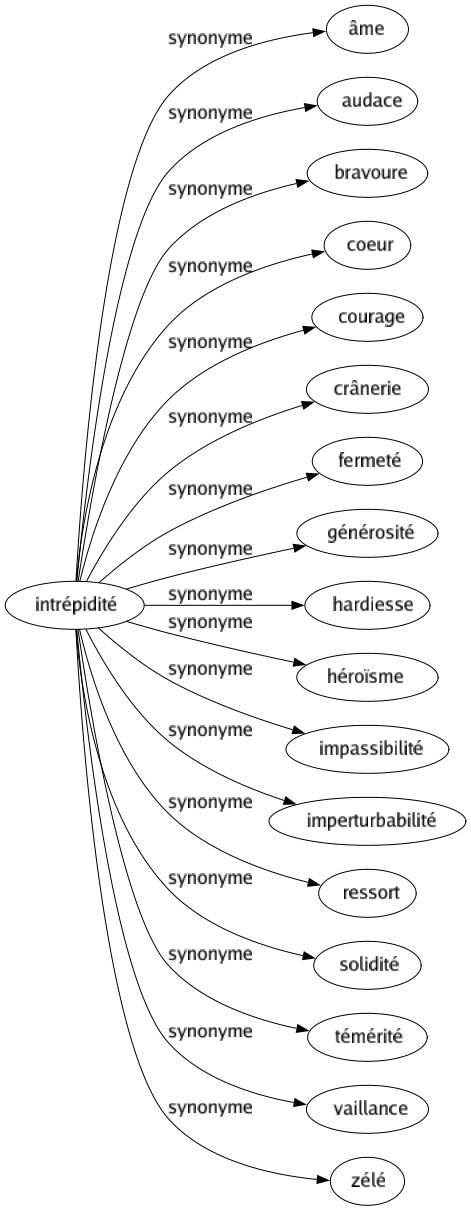 Synonyme de Intrépidité : Âme Audace Bravoure Coeur Courage Crânerie Fermeté Générosité Hardiesse Héroïsme Impassibilité Imperturbabilité Ressort Solidité Témérité Vaillance Zélé 