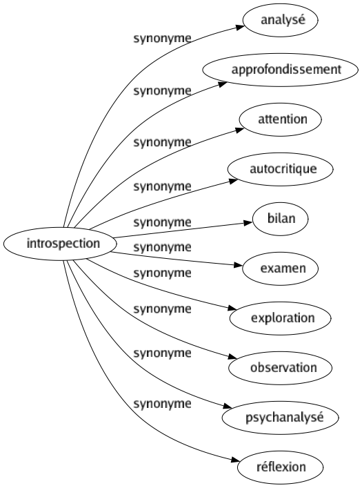 Synonyme de Introspection : Analysé Approfondissement Attention Autocritique Bilan Examen Exploration Observation Psychanalysé Réflexion 