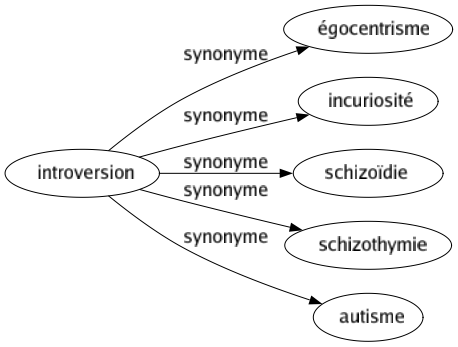 Synonyme de Introversion : Égocentrisme Incuriosité Schizoïdie Schizothymie Autisme 