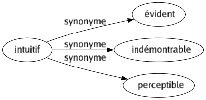 Synonyme de Intuitif : Évident Indémontrable Perceptible 