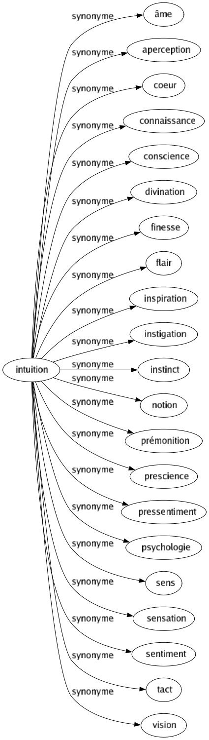Synonyme de Intuition : Âme Aperception Coeur Connaissance Conscience Divination Finesse Flair Inspiration Instigation Instinct Notion Prémonition Prescience Pressentiment Psychologie Sens Sensation Sentiment Tact Vision 