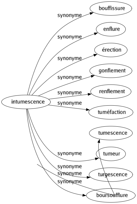 Synonyme de Intumescence : Bouffissure Enflure Érection Gonflement Renflement Tuméfaction Tumescence Tumeur Turgescence Boursoufflure 