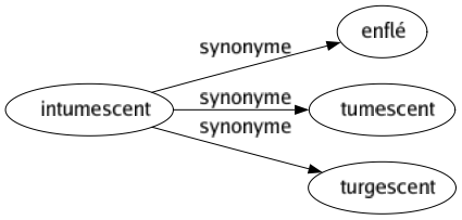 Synonyme de Intumescent : Enflé Tumescent Turgescent 