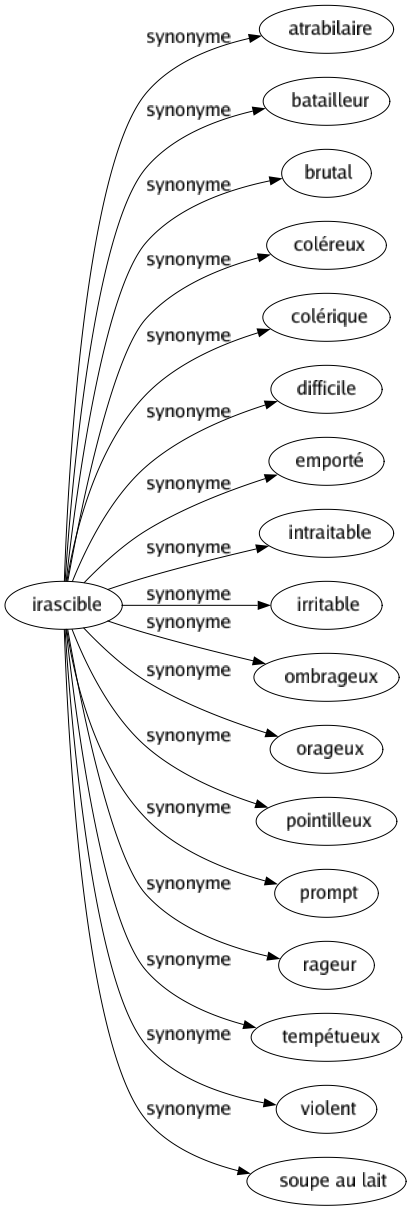Synonyme de Irascible : Atrabilaire Batailleur Brutal Coléreux Colérique Difficile Emporté Intraitable Irritable Ombrageux Orageux Pointilleux Prompt Rageur Tempétueux Violent Soupe au lait 