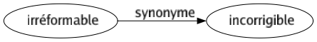 Synonyme de Irréformable : Incorrigible 