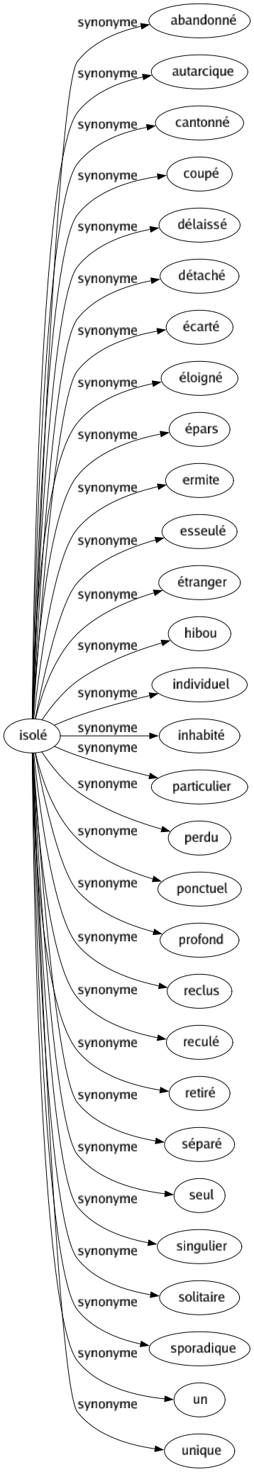 Synonyme de Isolé : Abandonné Autarcique Cantonné Coupé Délaissé Détaché Écarté Éloigné Épars Ermite Esseulé Étranger Hibou Individuel Inhabité Particulier Perdu Ponctuel Profond Reclus Reculé Retiré Séparé Seul Singulier Solitaire Sporadique Un Unique 