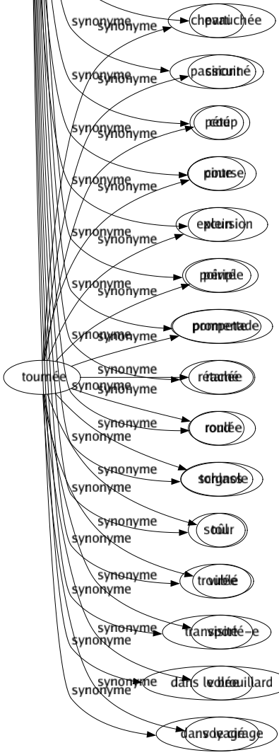 Synonyme de Ivre : Aviné Beurré Biture Blindé Bourré Brindezingue Bu Cane Chargé Cuit Cuite Éméché Émoustillé Ému Enivré Enragé Éperdu Exalté Fanatique Fou Gai Gris Grisé Hourde Imbibé Mort Mûr Noir Paf Pâmé Parti Passionné Pété Pinte Plein Poivré Pompette Rétamé Rond Schlass Soûl Troublé Transporté-e Dans le brouillard Dans le cirage 