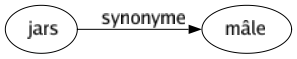 Synonyme de Jars : Mâle 